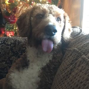 Meet your Posher, Cheryl